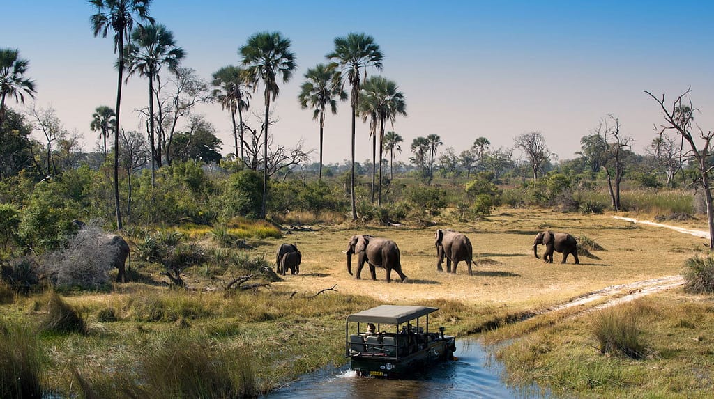 Selous Game Reserve