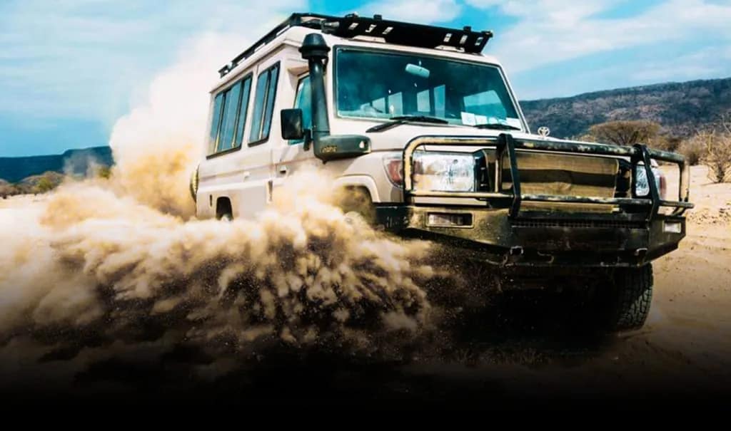 budget tanzania safari