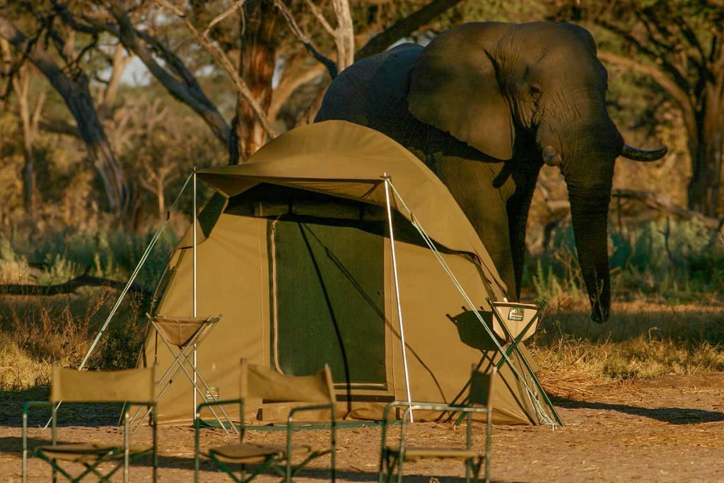 Tanzania on a budget camping
