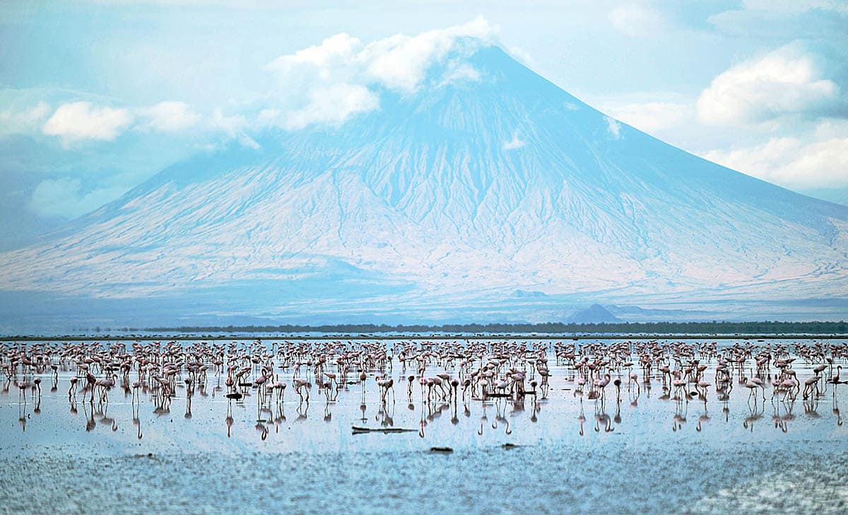 Flamingos at Lake Natron, Tanzania’s alkaline lake.