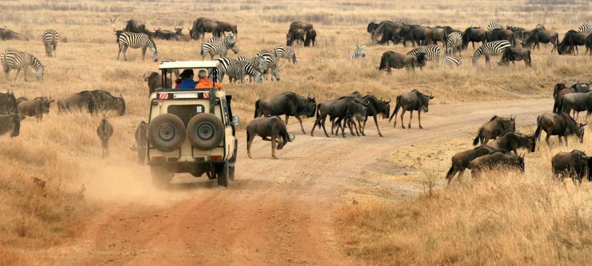 Safari vehicle in the Serengeti National Park