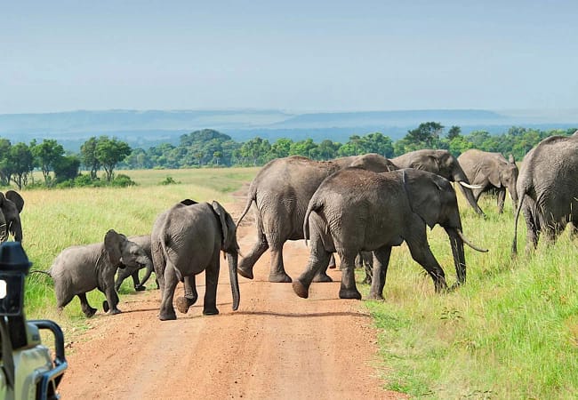 2 day nyerere national park