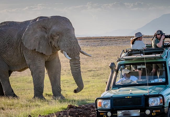 5 days tanzania safari