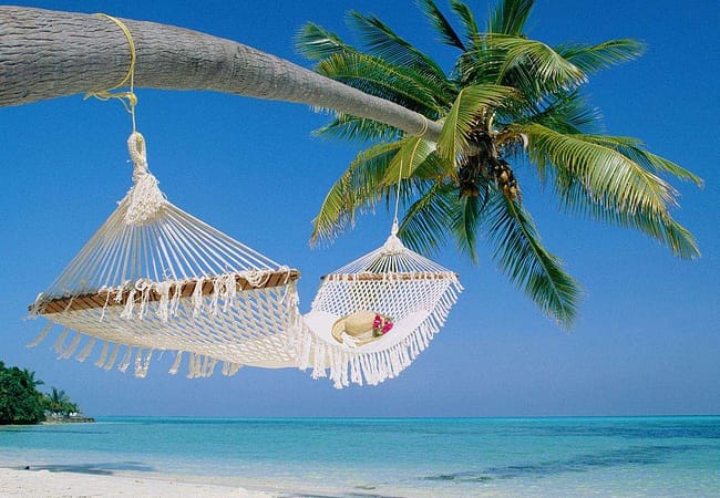 Serengeti Safari & Zanzibar Relaxation (10 Days)
