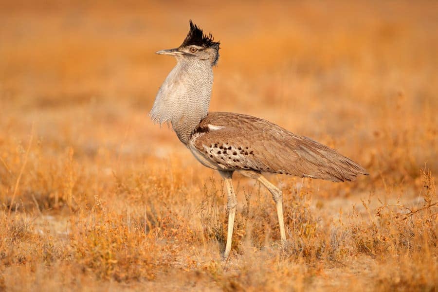 top 10 reasons to visit Tanzania