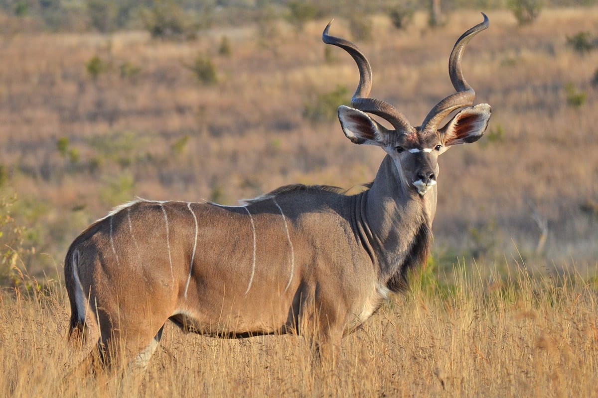 Southern Tanzania